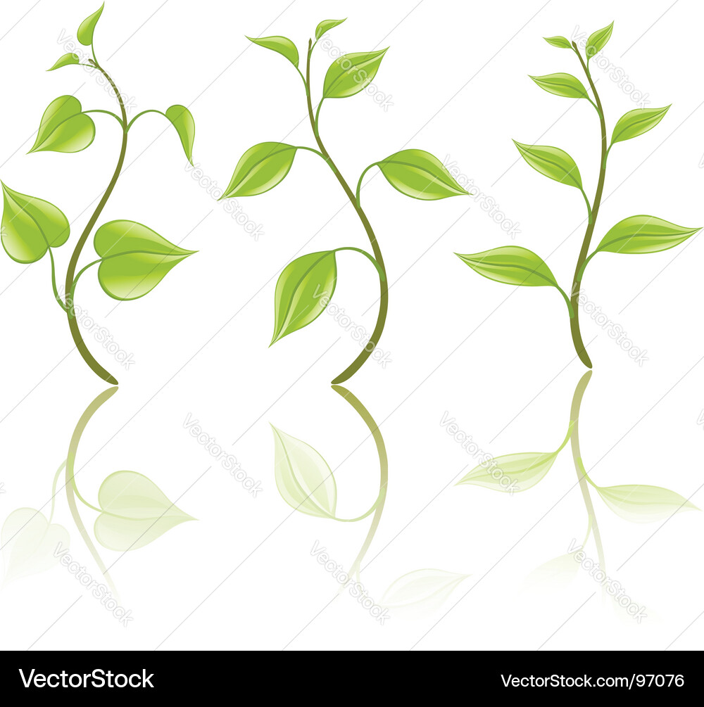 Branch and Leaf Elements Vector Image