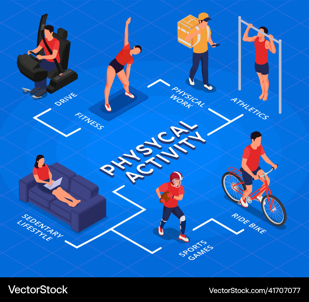 Physical activity isometric flowchart Physical activity isometric flowchart vector image