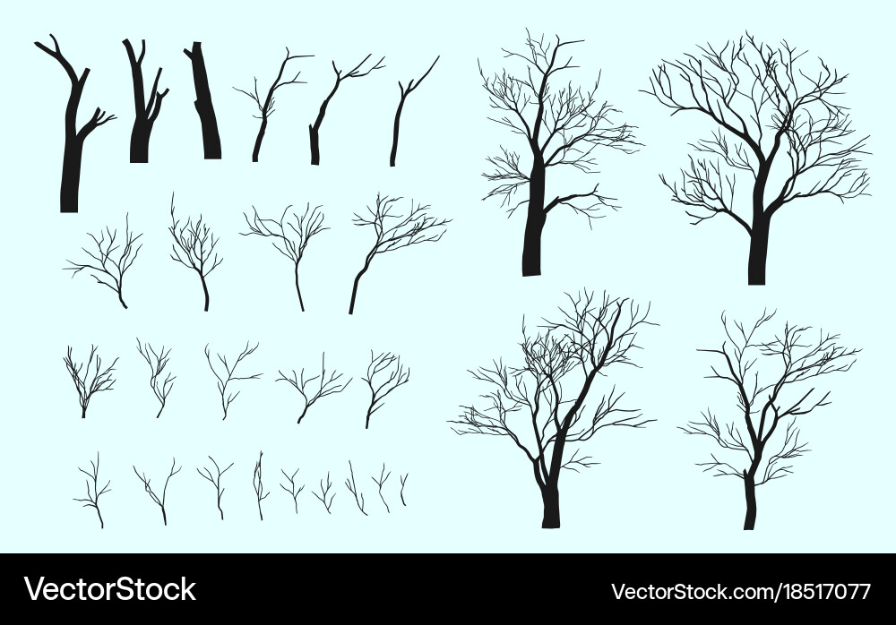 Winter Tree Branches Silhouette vector image