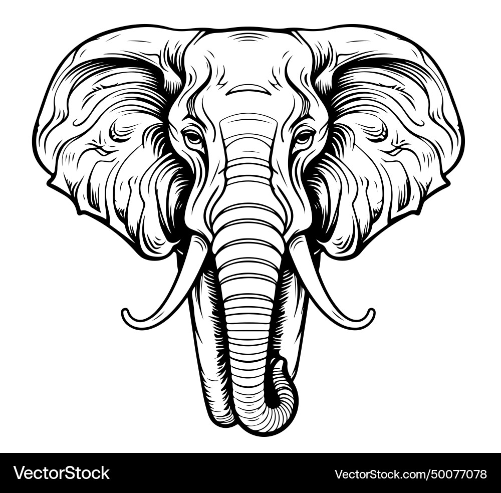 Doodle Elephant Sketch Vector Image