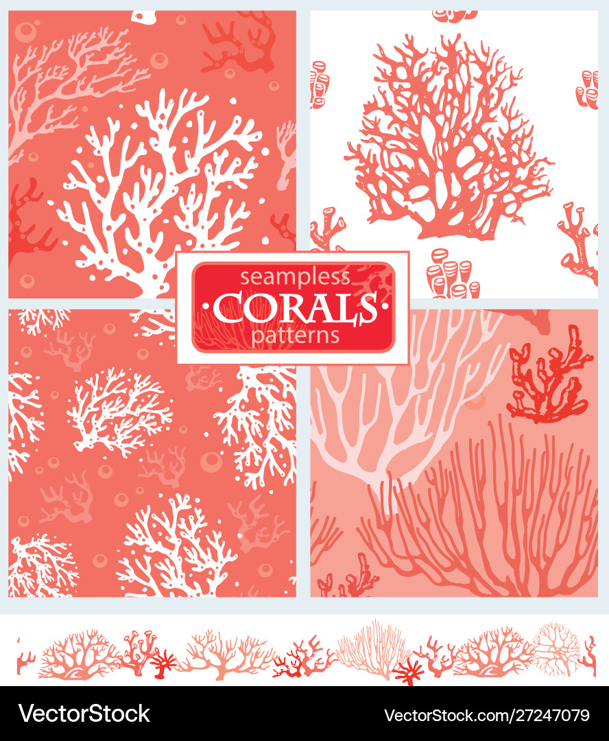 Coral Seamless Patterns vector image