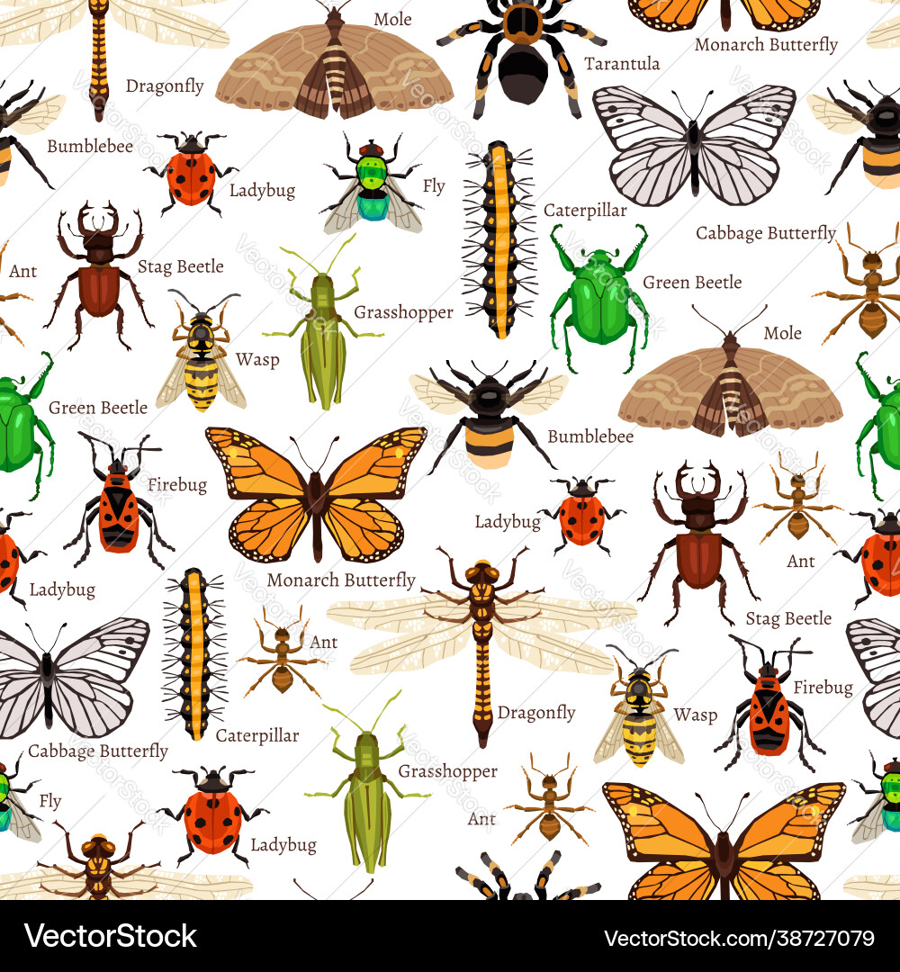 Insects seamless pattern Insects seamless pattern vector image
