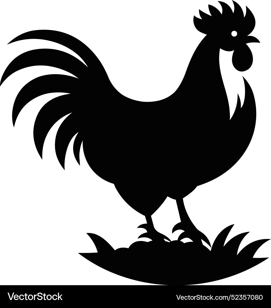 Chicken Shadow Vector Images (over 5,900)