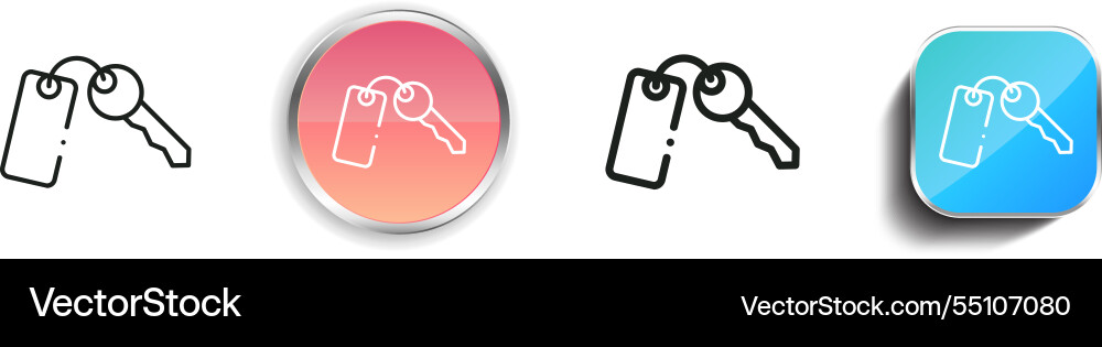 Key icon thin linear regular and button style vector image