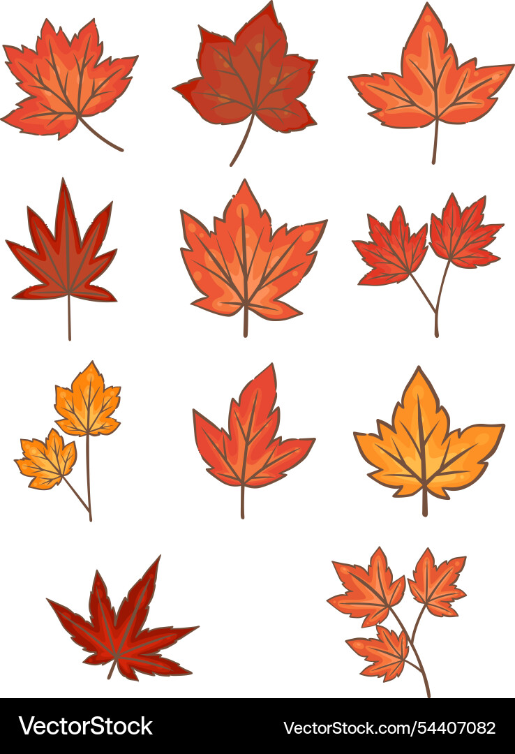 Ahornblattblätter in der Herbstsaison Ahornblattblätter in der Herbstsaison vektorbild