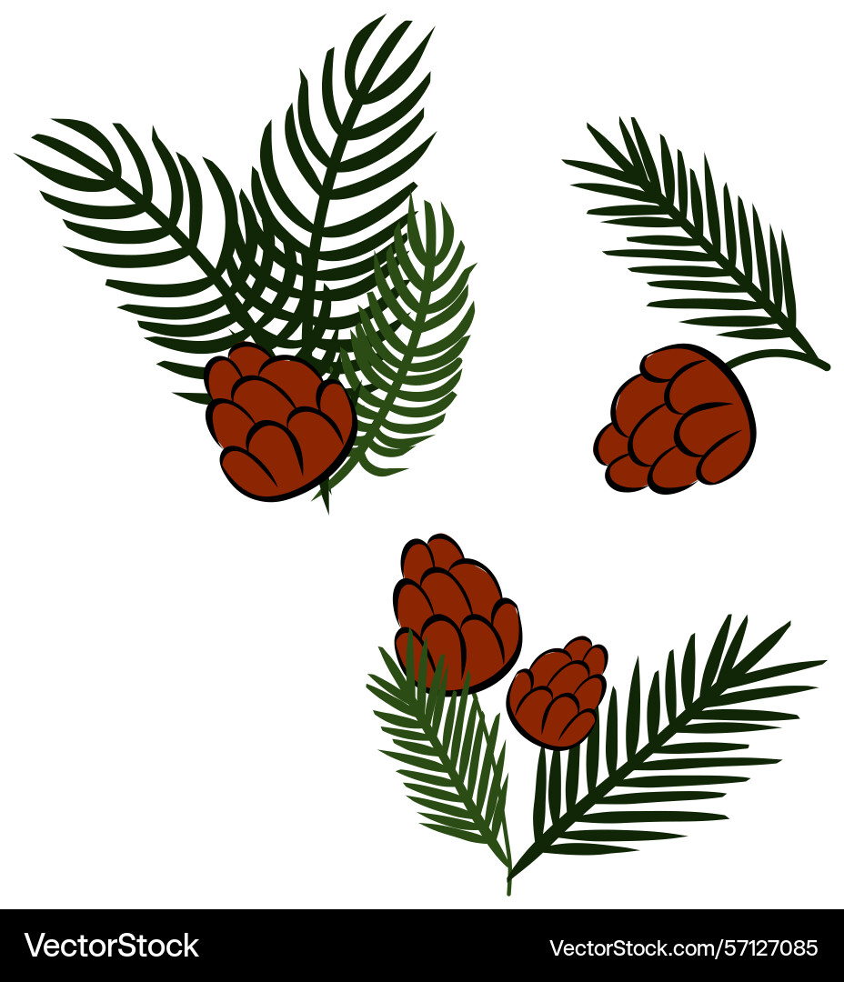Pine tree branches with cones set Pine tree branches with cones set vector image