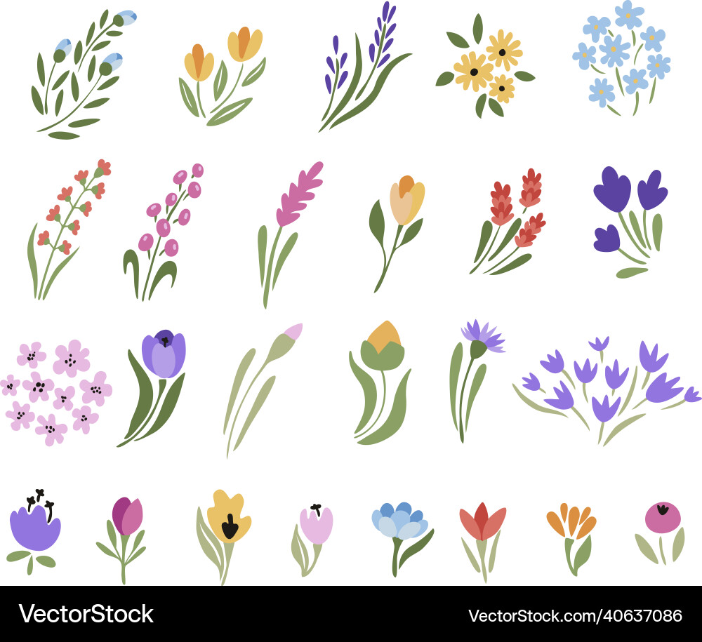 Colorful Floral Elements Set Vector Image