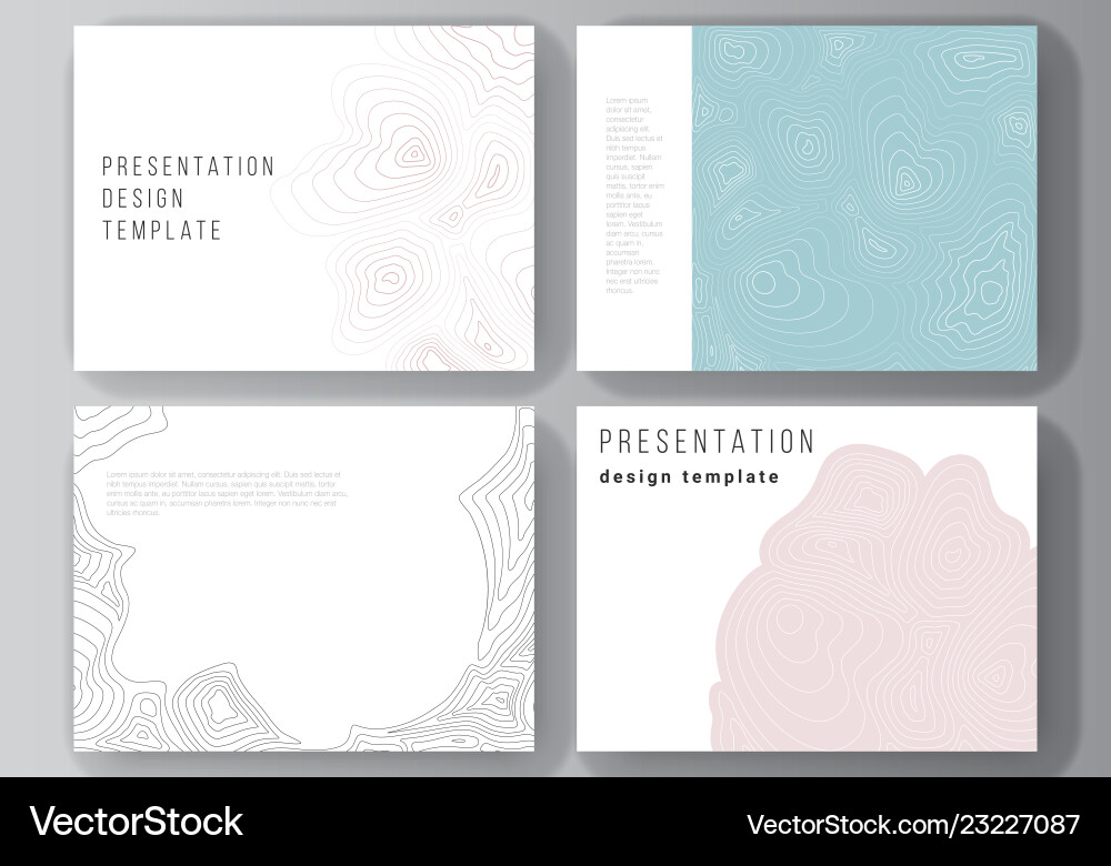 Abstract Contour Map Slides vector image