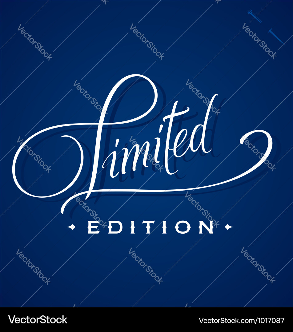 Elegant Script Lettering vector image