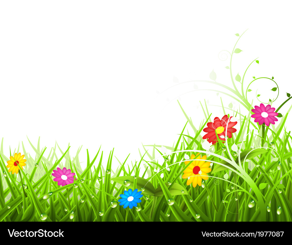 Landscape Vector Image