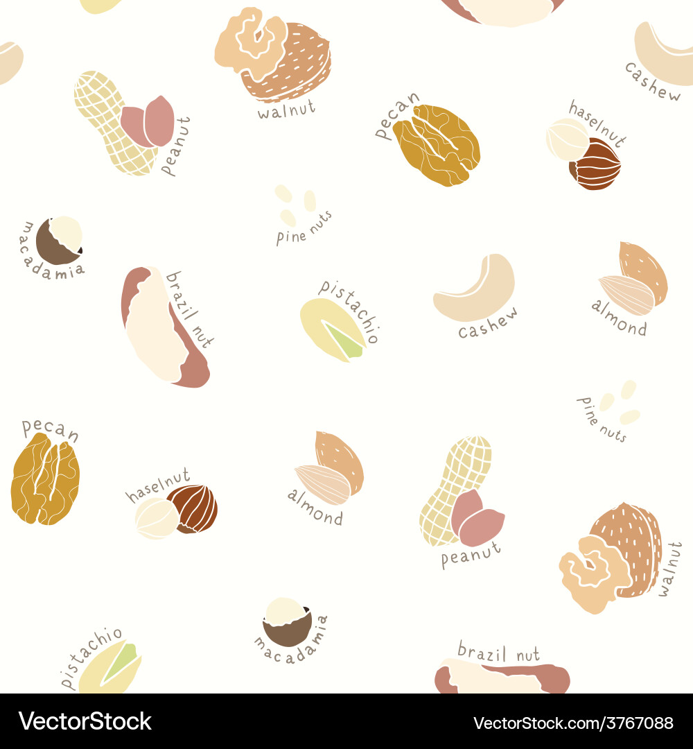 Nut Collection Pattern vector image