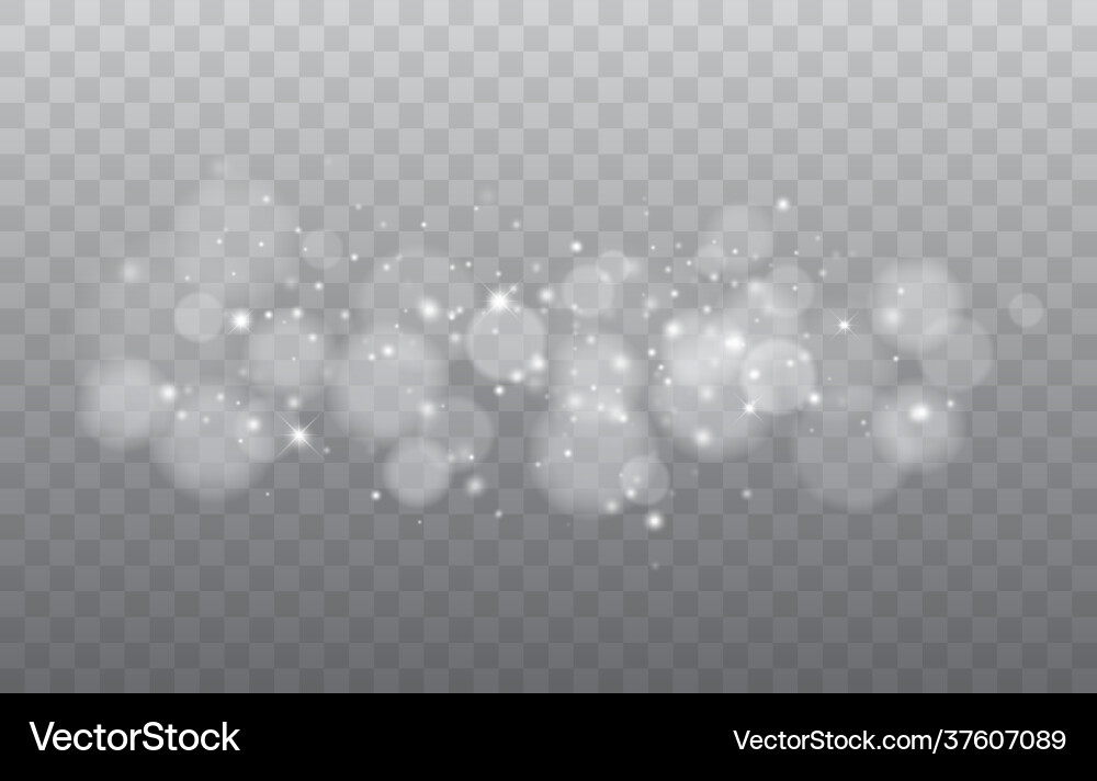 Bokeh lights isolated Bokeh lights isolated vector image