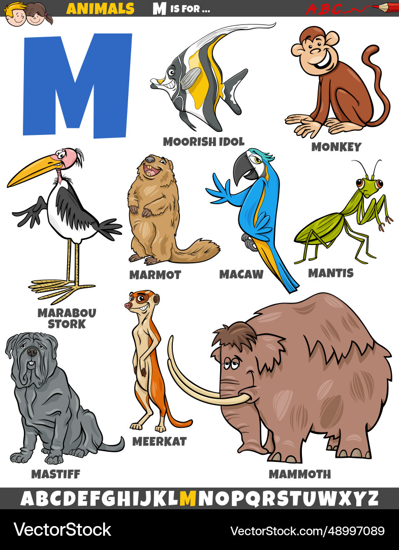 Cartoon animal characters for letter m Cartoon animal characters for letter m vector image