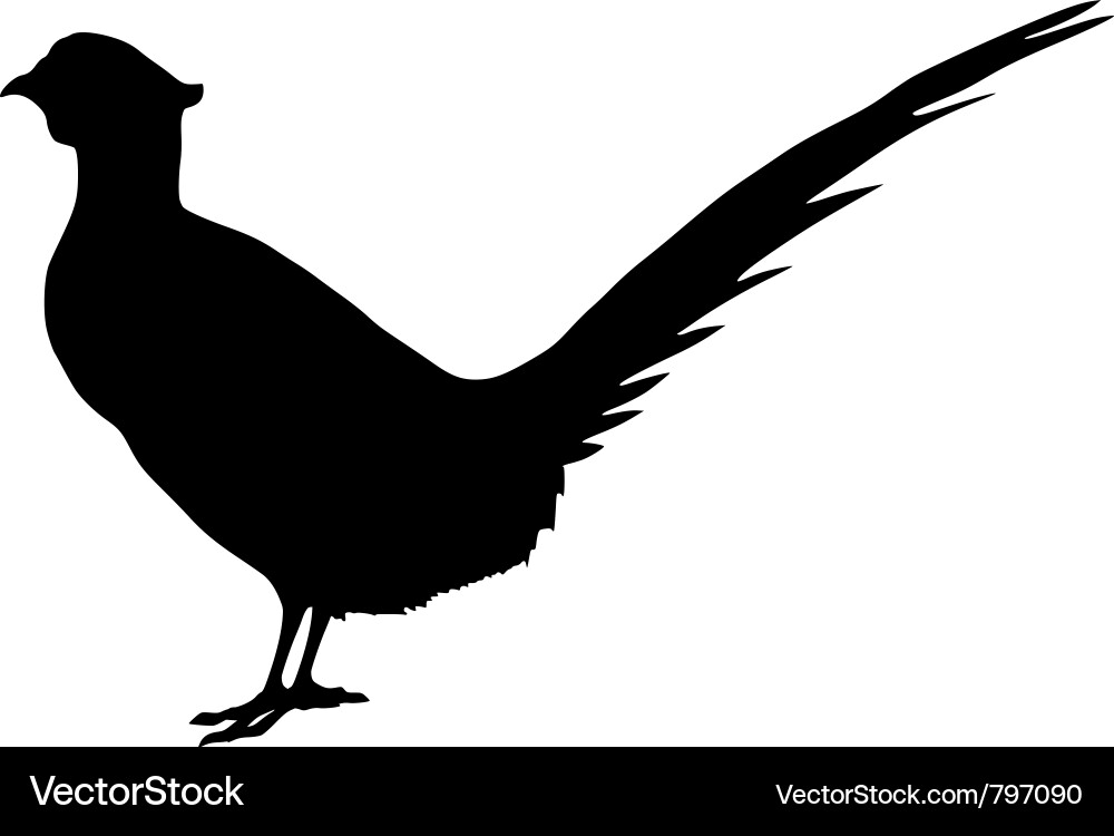 Pheasant Silhouette vector image