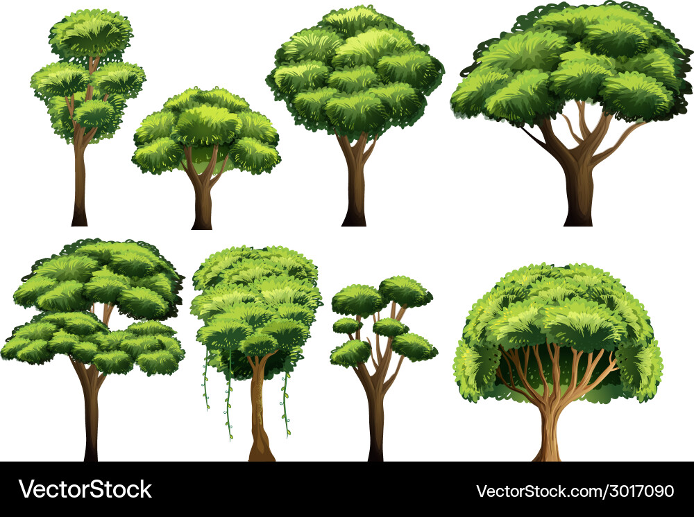 Tree set Vector Image