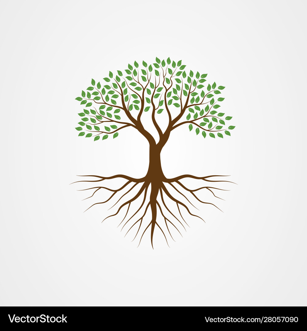 Tree with roots vector image