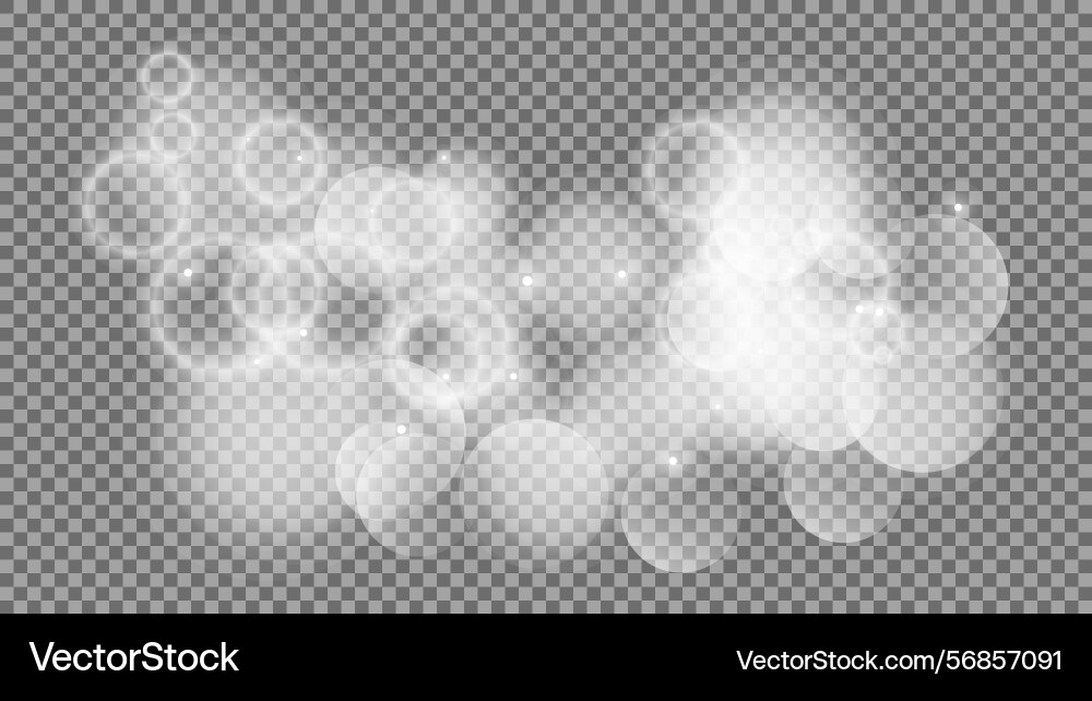 Bokeh circles on transparent background Bokeh circles on transparent background vector image