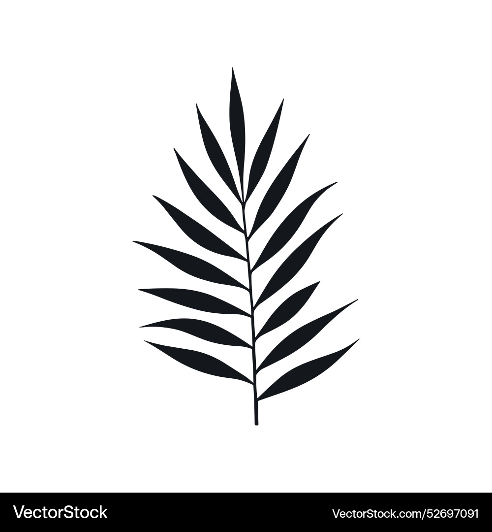 Palm Sommer tropische Blatt Silhouette Symbol Dschungel Palm Sommer tropische Blatt Silhouette Symbol Dschungel vektorbild