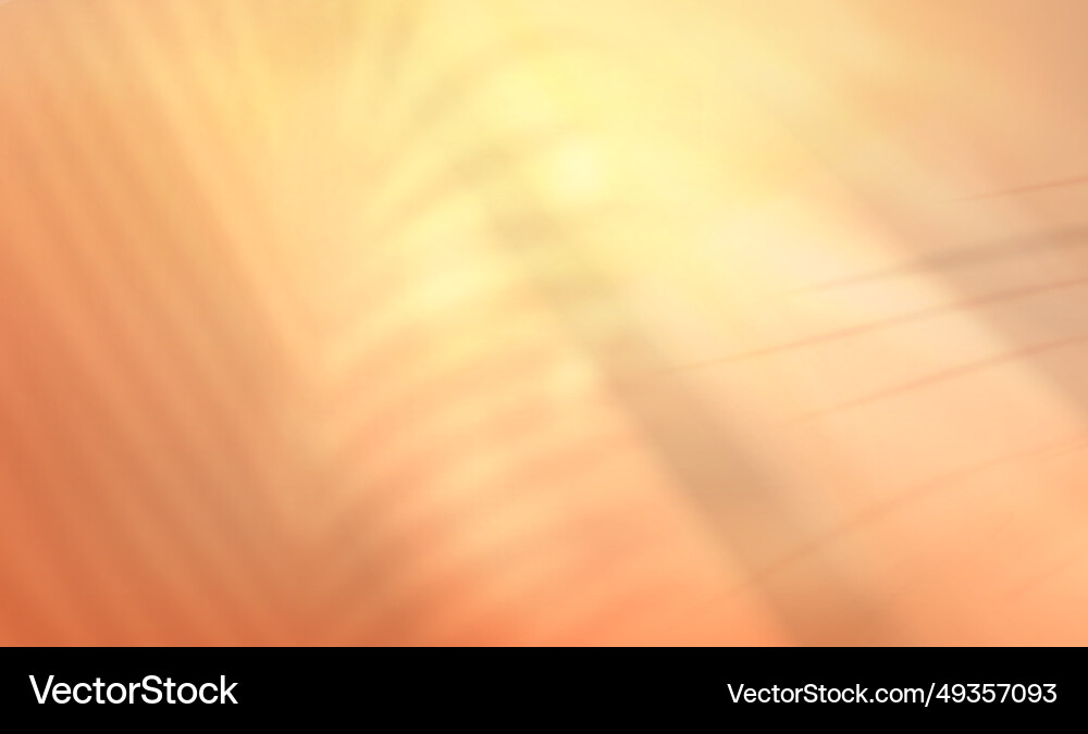 Podium scene and tropical palm leaves shadow vector image