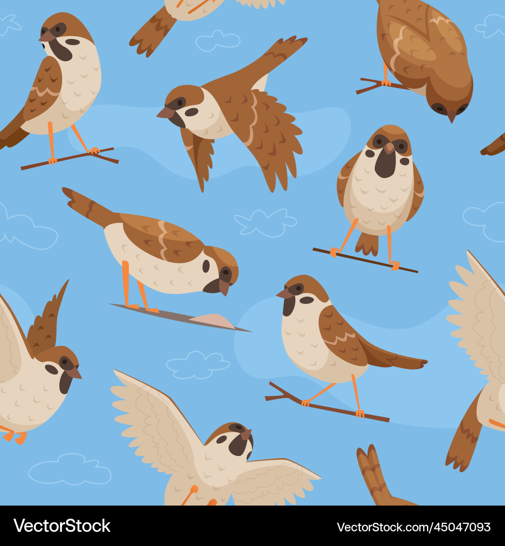 Sparrows pattern textile design project Sparrows pattern textile design project vector image