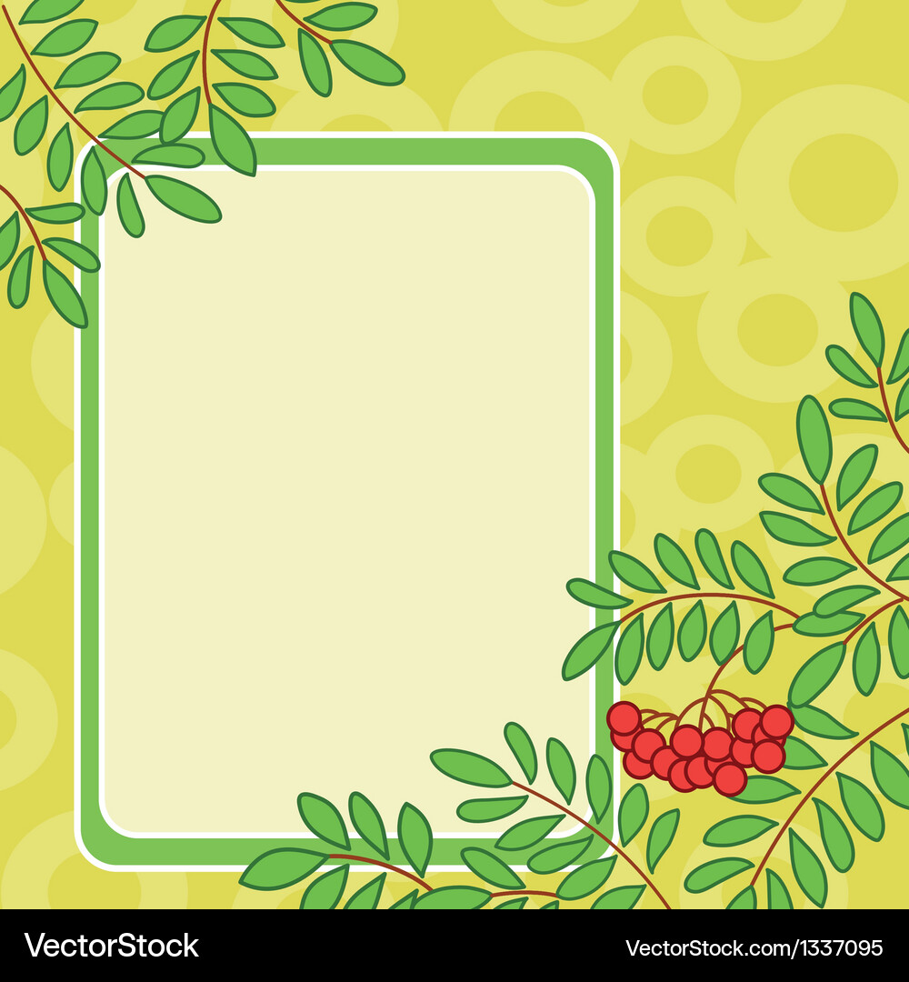 Background with rowanberry and table Vector Image