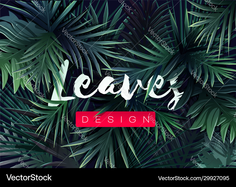 Bright tropical background with jungle plants vector image