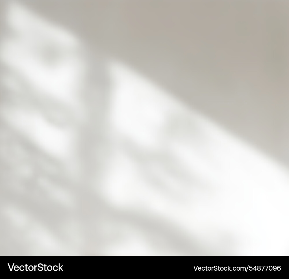 Soft abstract window shadow overlay with botanical Soft abstract window shadow overlay with botanical vector image