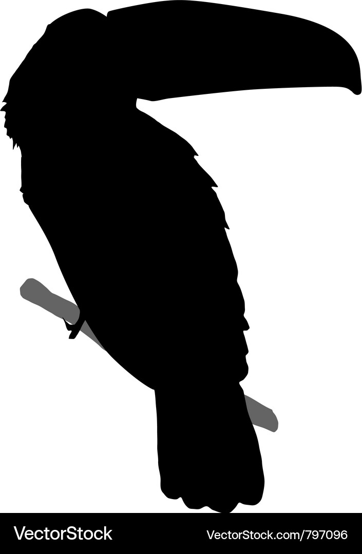 Toucan Silhouette Vector Image