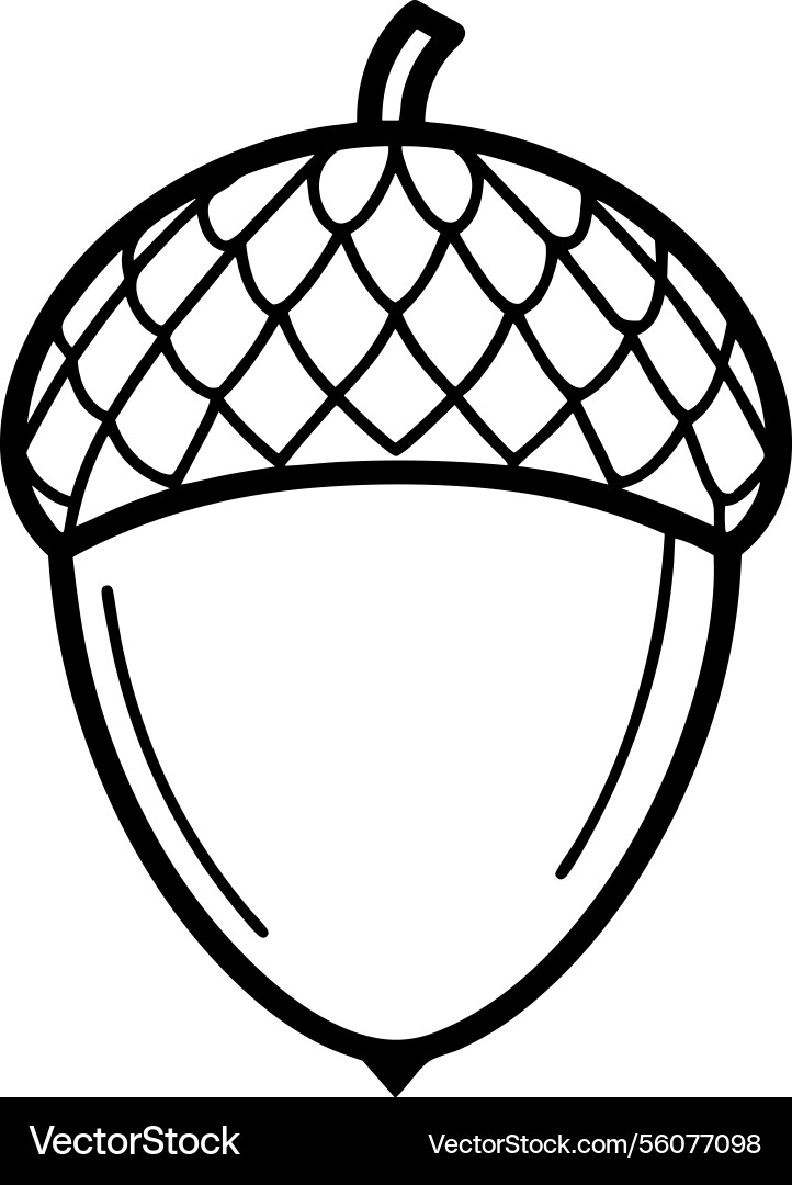 Acorn outline - simple autumn and fall Acorn outline - simple autumn and fall vector image