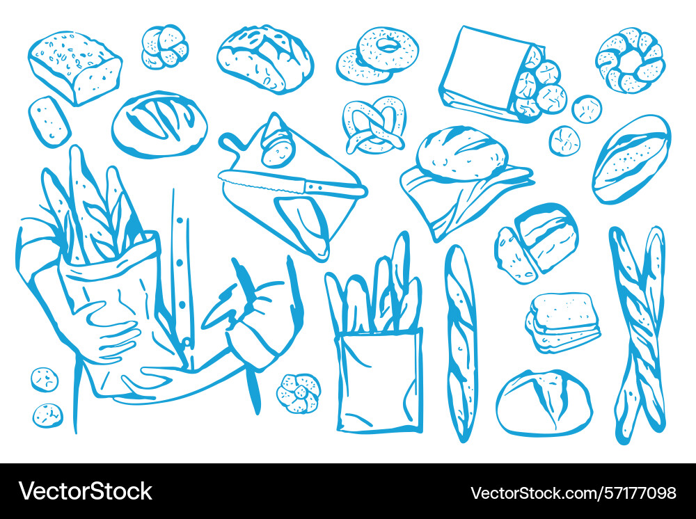 Hand drawn set of different types bread Vector Image