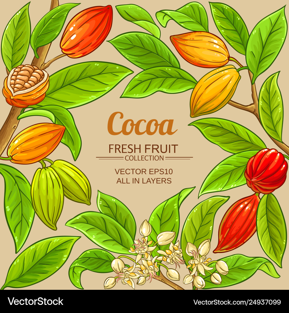 Cocoa branches frame on color background Cocoa branches frame on color background vector image