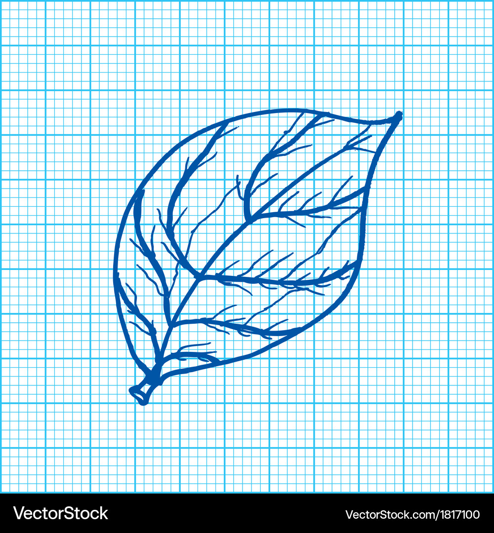 Leaf Pattern on Graph Paper Vector Image