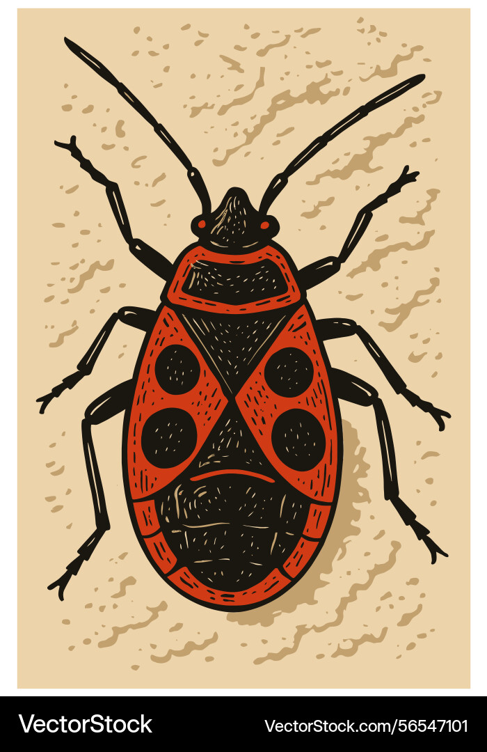 Bug graphic with red and black patterned shell Bug graphic with red and black patterned shell Vector Image