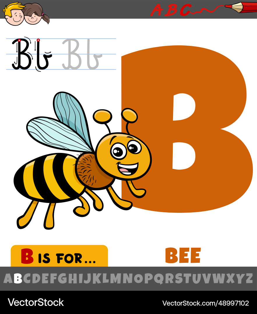 Letter b from alphabet with cartoon bee insect Vector Image