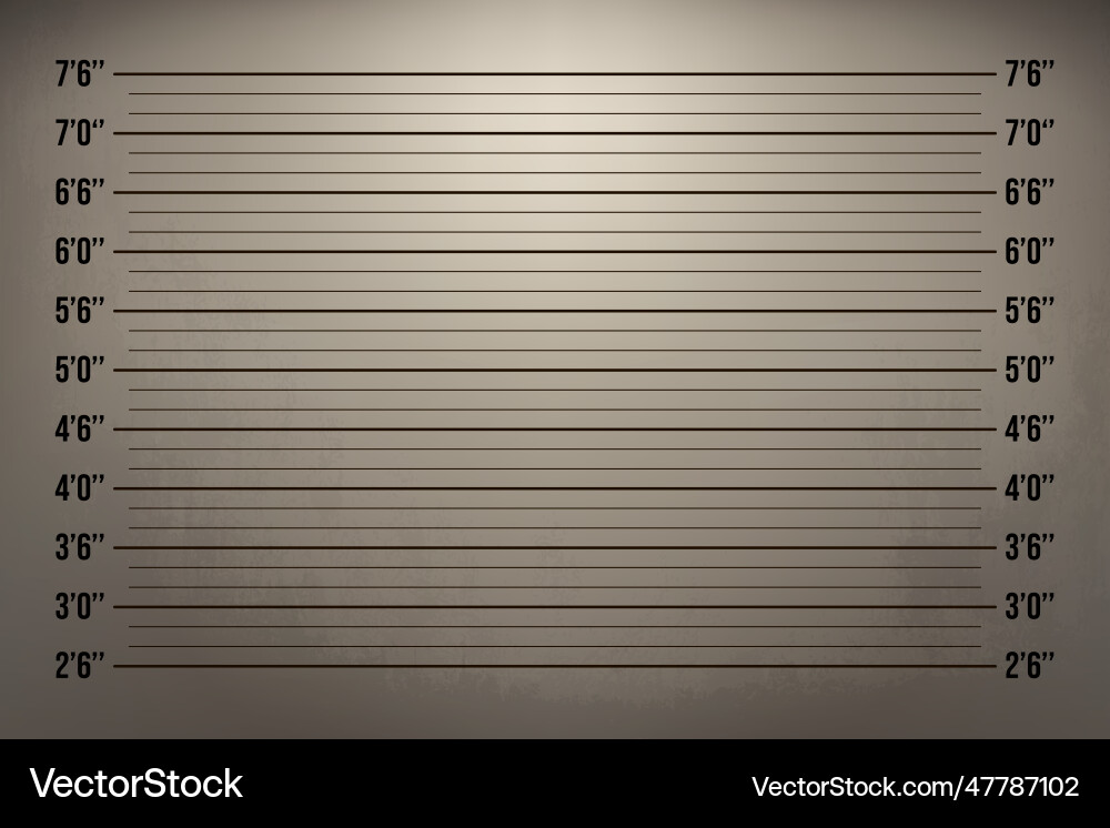 Police lineup or mugshot retro background Police lineup or mugshot retro background vector image