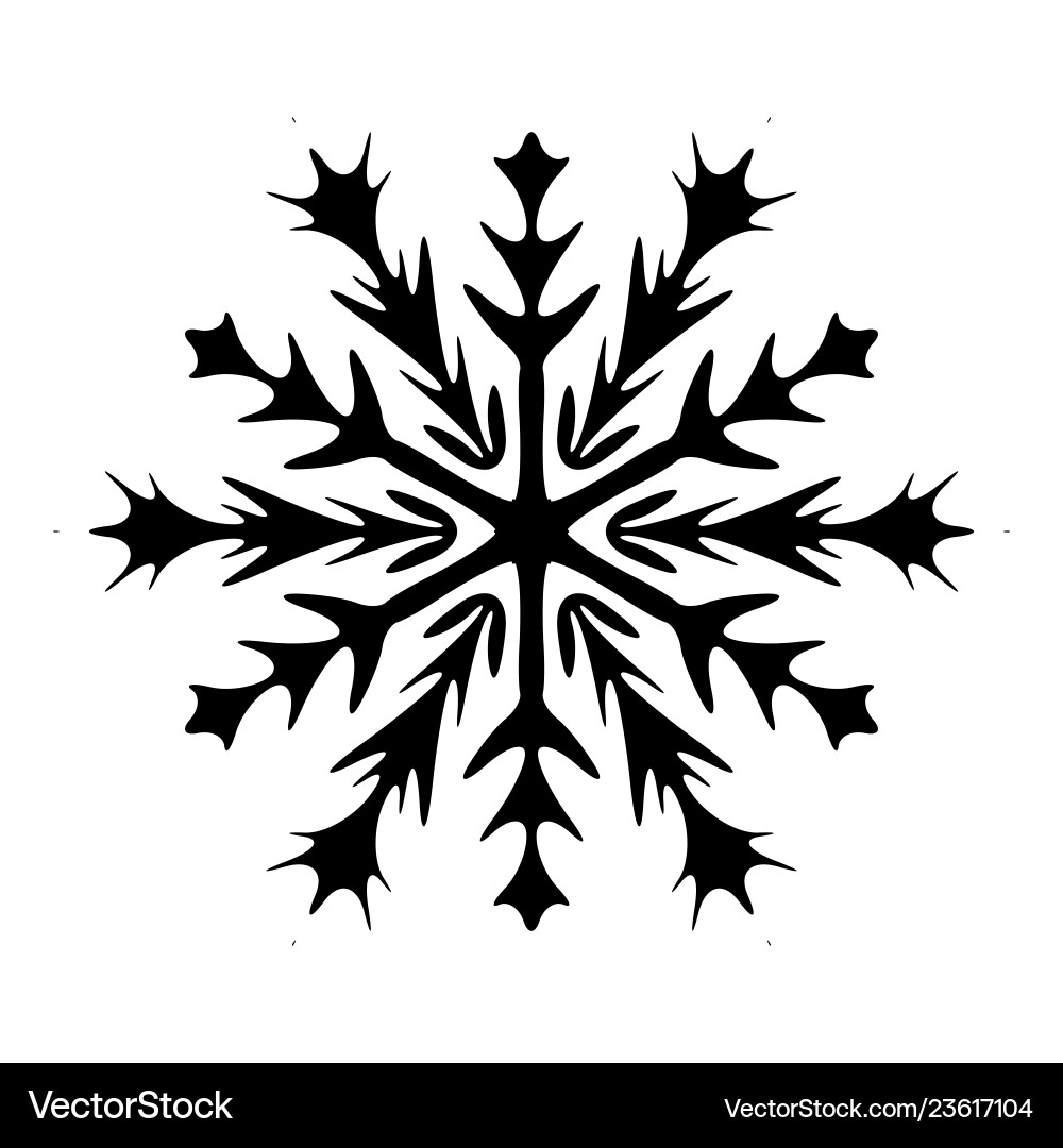 Elegant Snowflake Isolated vector image