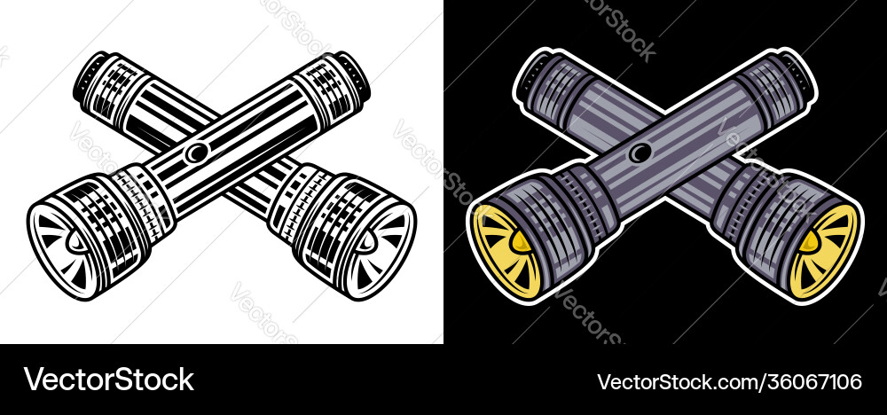 Crossed flashlights set two objects Crossed flashlights set two objects vector image