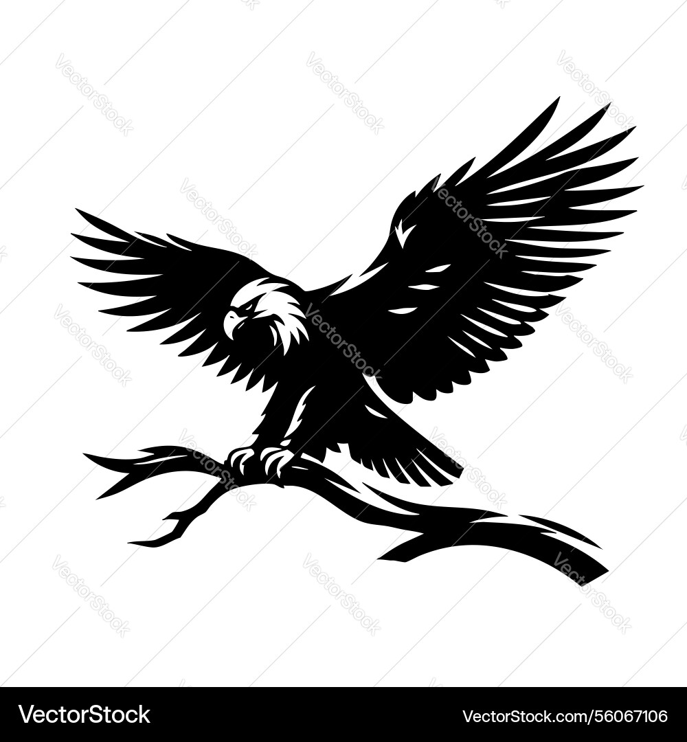 Majestic eagle soaring a black and white Majestic eagle soaring a black and white vector image