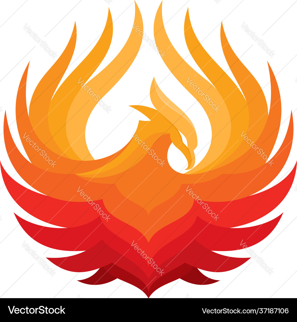 Phoenix Fire Logo Template Vector Image