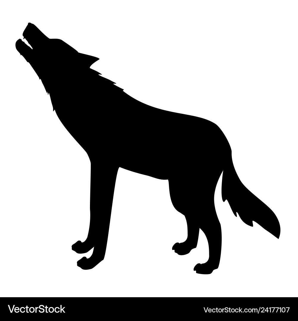 Wild Wolf Silhouette vector image
