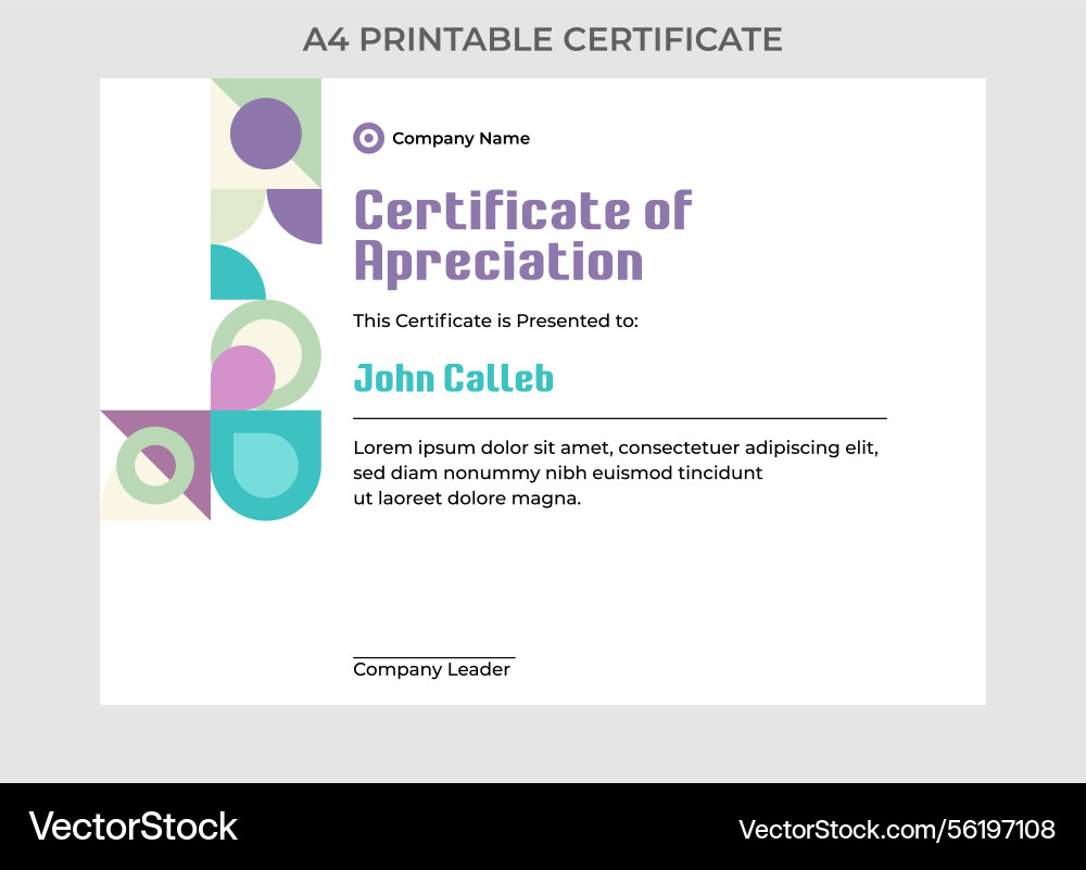 Professional a4 certificate template neat layout Vector Image