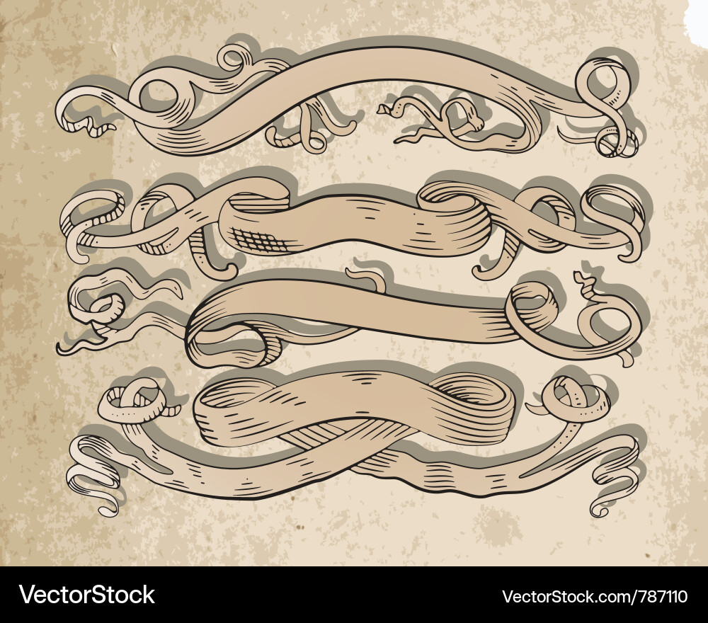 Old Scroll Set vector image