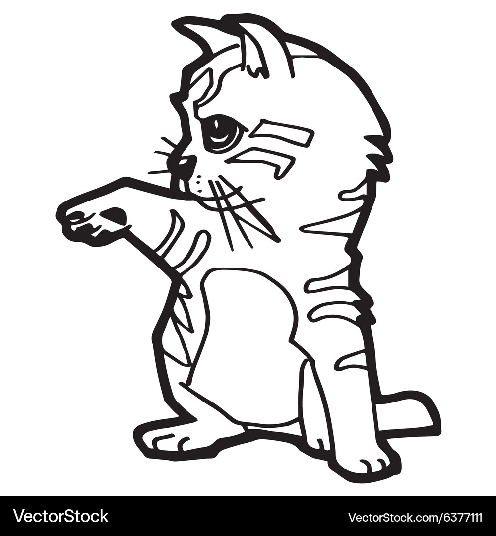 Cat and kitten coloring page for kid Vector Image
