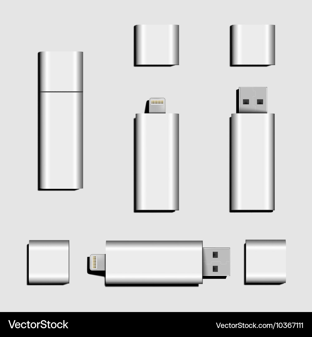 Dual usb micro and flash drive Vector Image