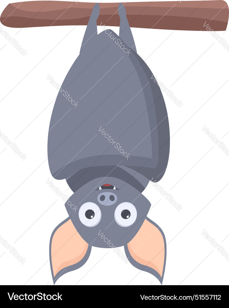 Cute cartoon bat hanging upside down on a tree Cute cartoon bat hanging upside down on a tree vector image