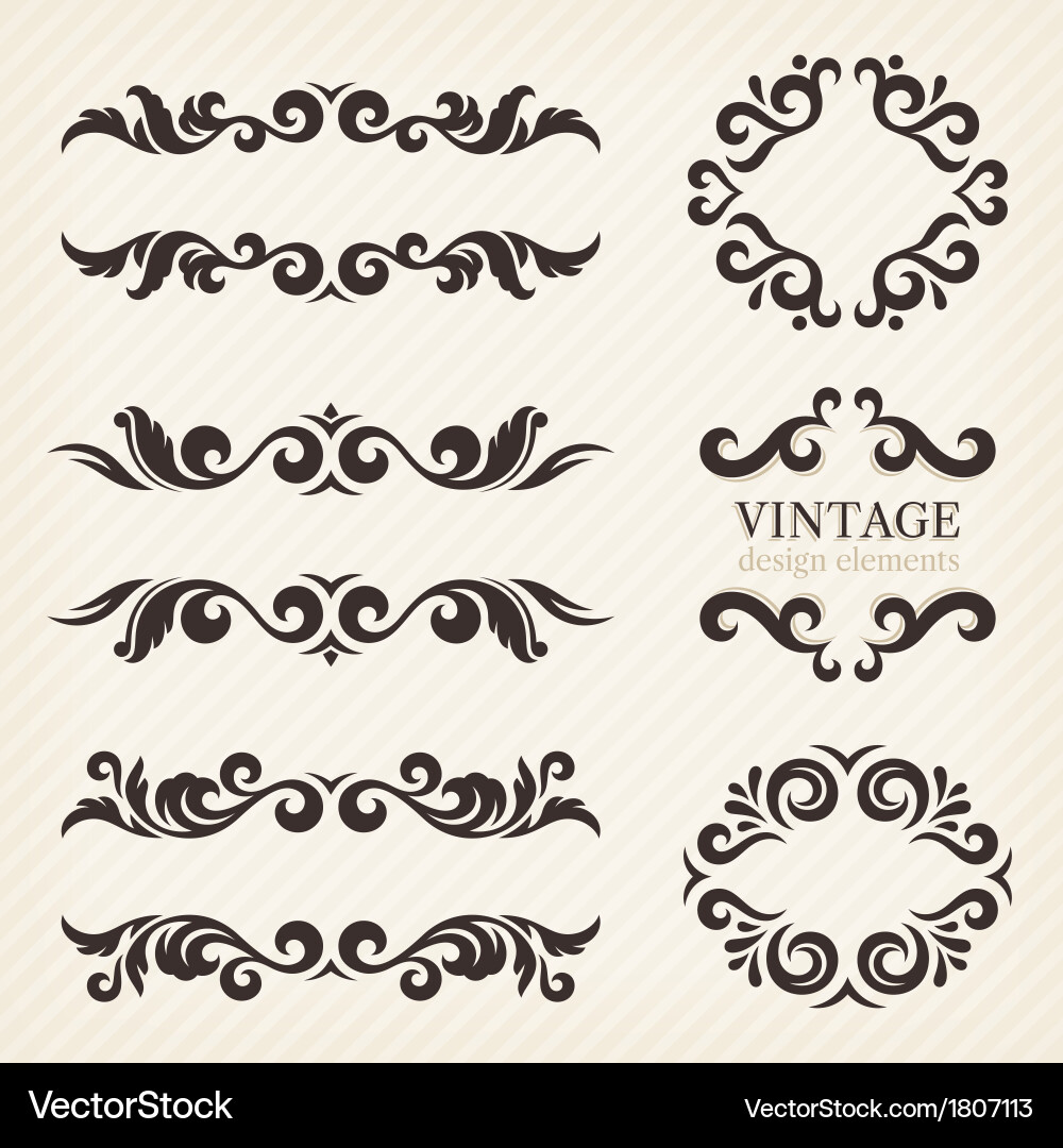 Ornate Scroll Patterns vector image