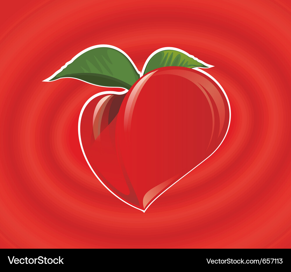 Red heart fruit Vector Image