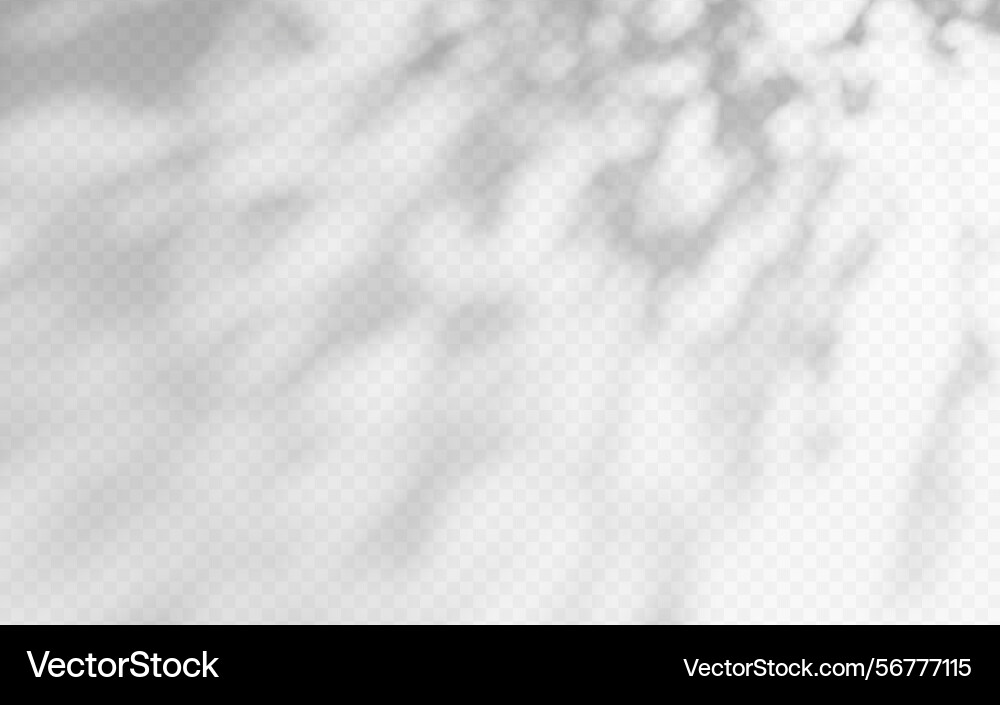 Abstract shadow overlay from tree branch Abstract shadow overlay from tree branch vector image