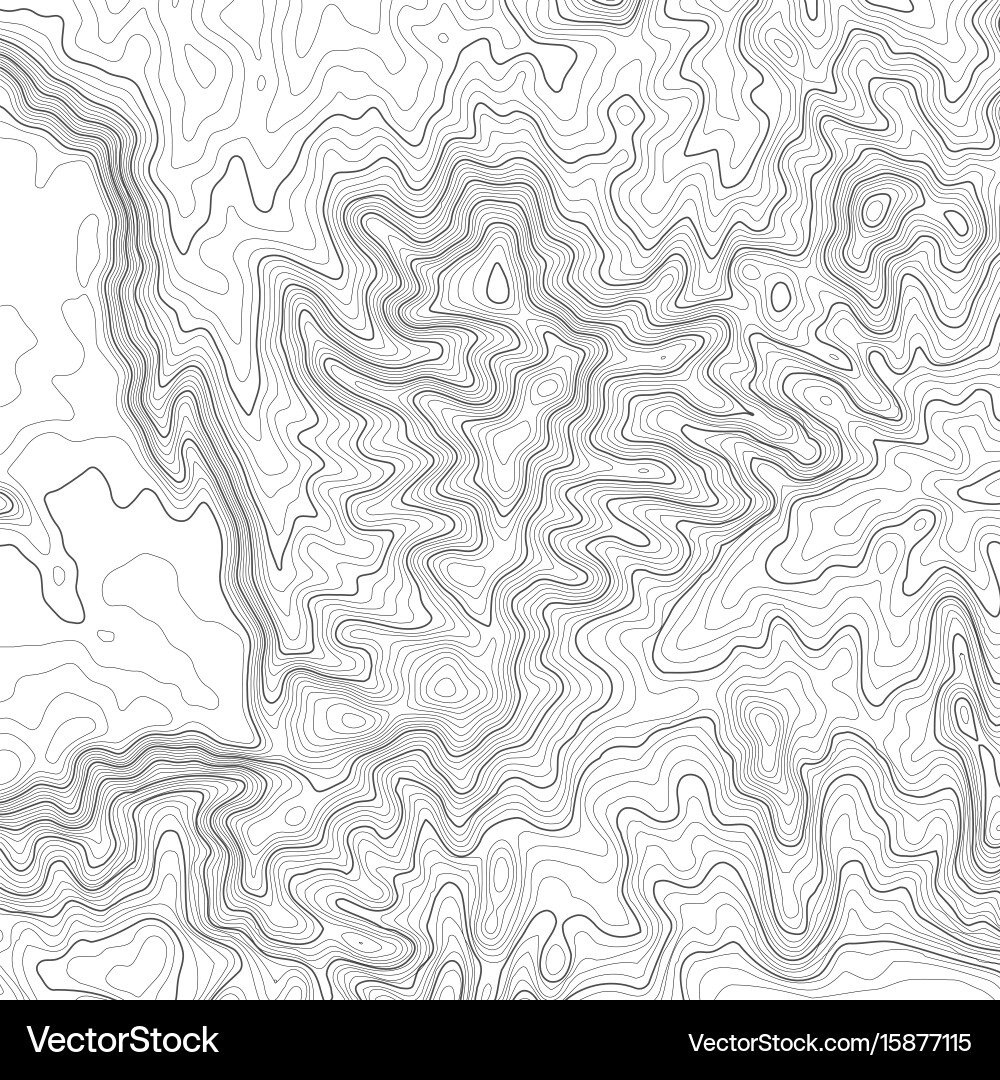 Topographic map background with space for copy vector image