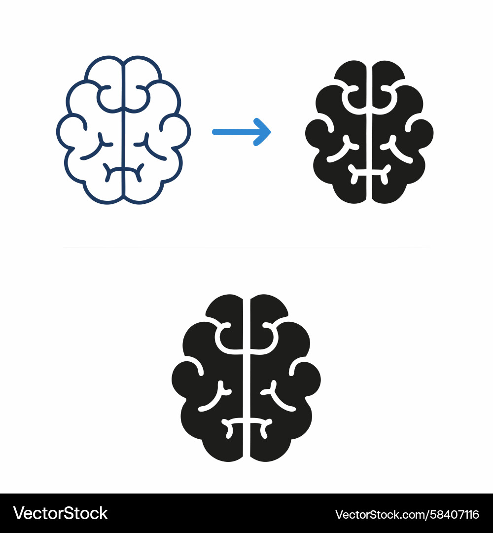 Brain Development & Progress Icon Set Vector Image